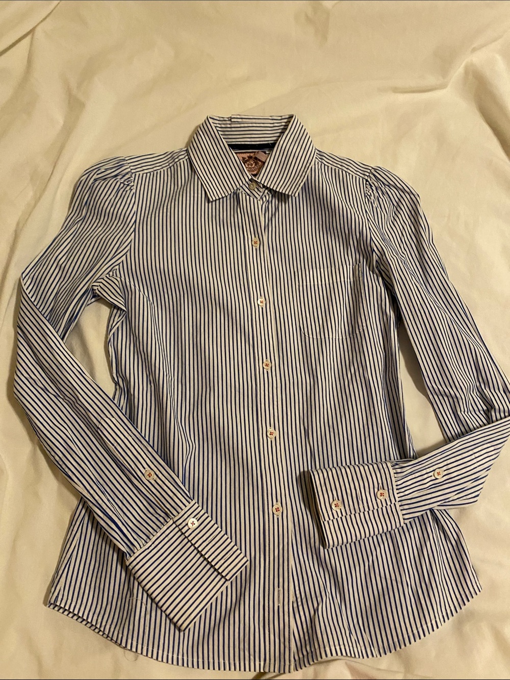 Juicy Couture Blue and White Striped Button-Up Blouse